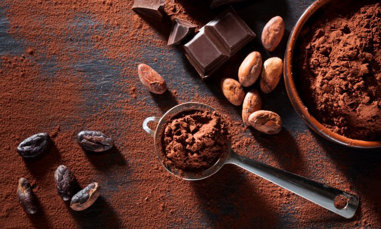 صورة سر الشوكولاتة: كيف اكتشفت الإكوادور أصل شجرة الكاكاو؟