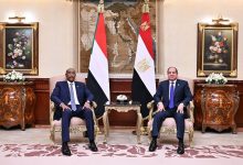 صورة باحث دولي: مصر داعم رئيسي للوحدة الوطنية والحل السلمي في السودان